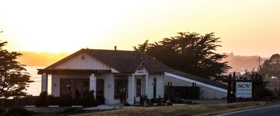 hero sonoma coast vineyards