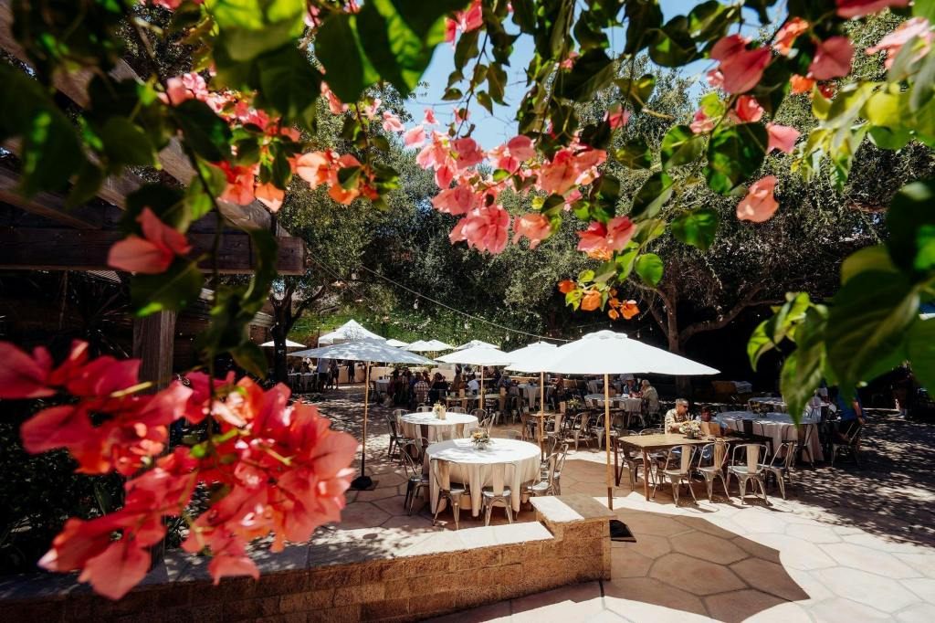 Firestone Vineyards spring release party