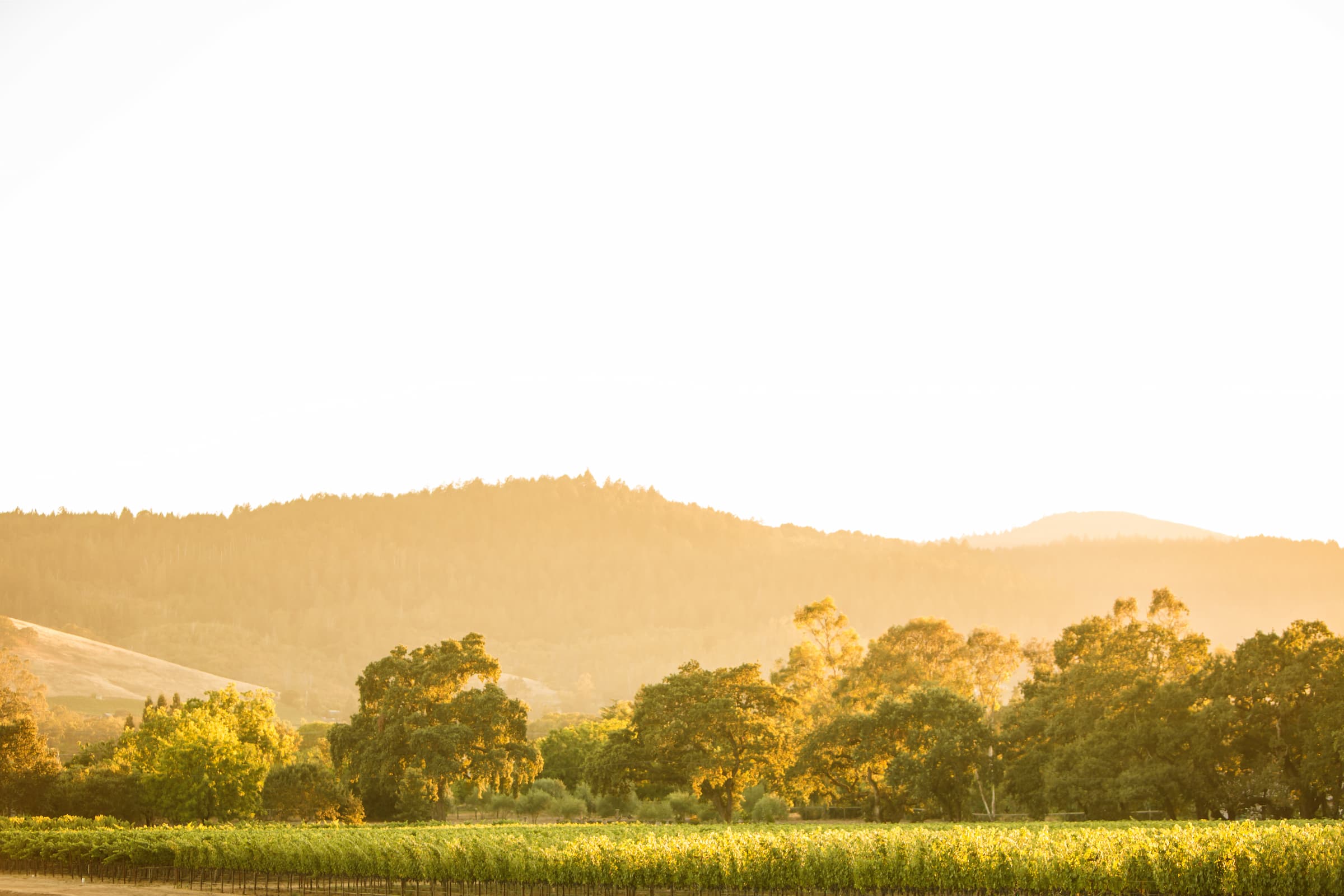 Shop - Foley Family Wines